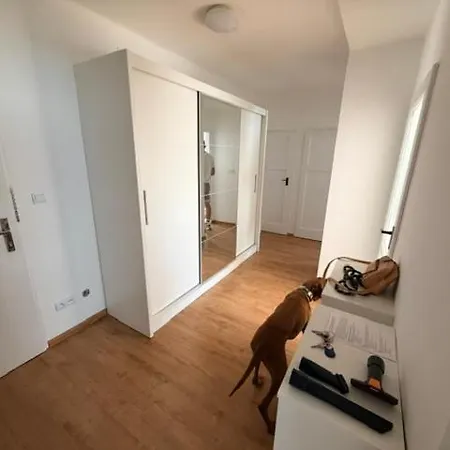 Comfortable Apartment, Apartment